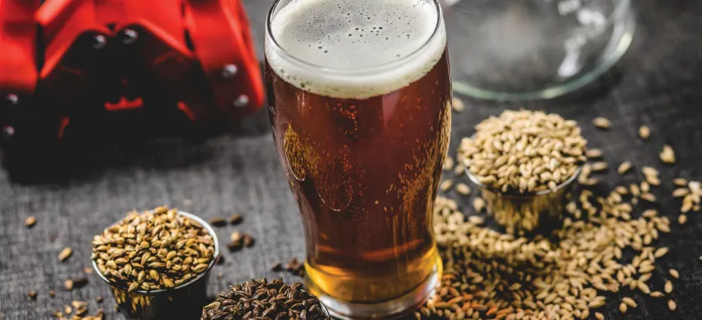 啤酒發酵過程大揭秘!vAPCI+CMS 聯用新技術如何快速捕捉風味密碼?